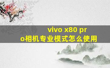 vivo x80 pro相机专业模式怎么使用